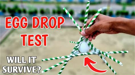 egg drop strength test|best egg drop design.